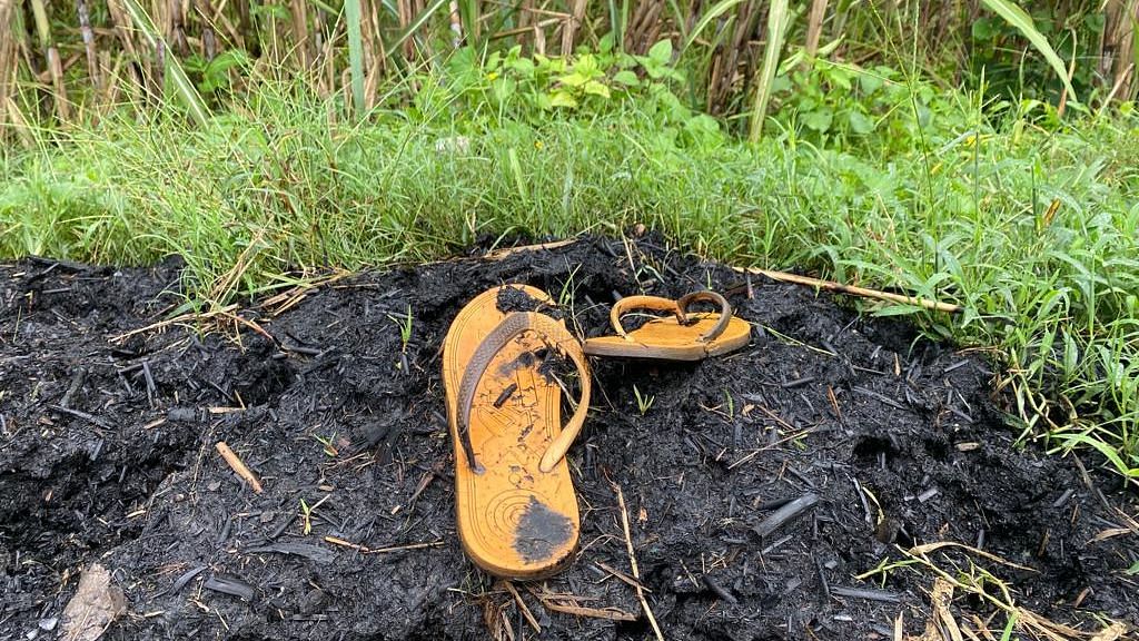 <div class="paragraphs"><p>Lying next to a sugarcane field atop a heap of ashes along the narrow brick road, a pair of yellow slippers has been soaking in the incessant rains for the past two days.</p></div>