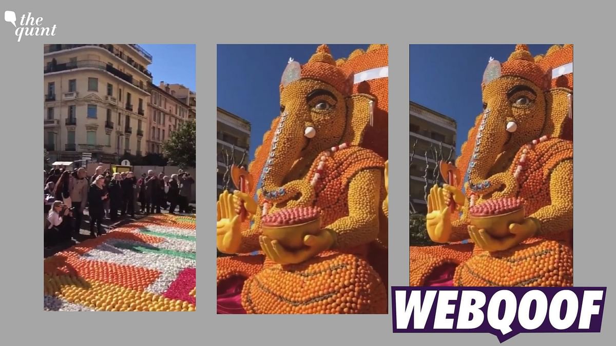 Clip From Lemon Festival in France Shared as 'Ganesh Chaturthi in Holland'