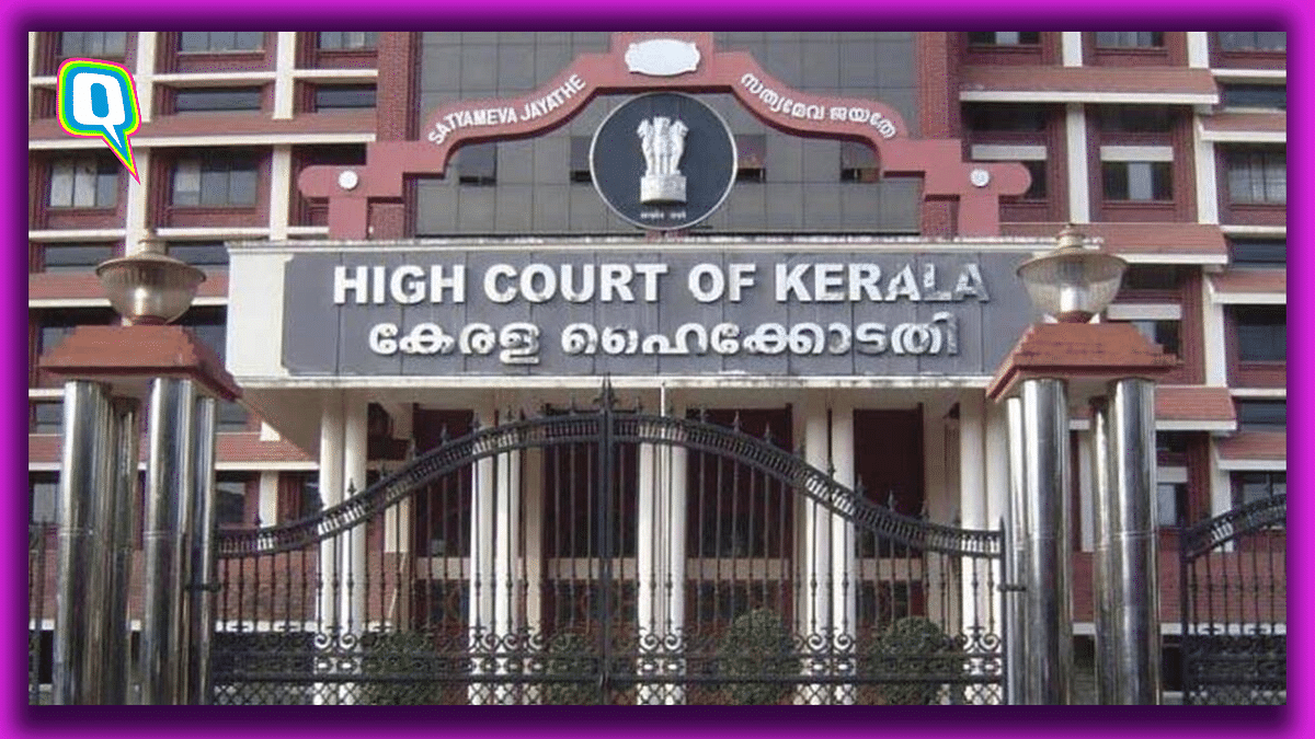 For Youth, WIFE Is Worry Invited For Ever: Kerala HC’s Comment Gets Flak Online