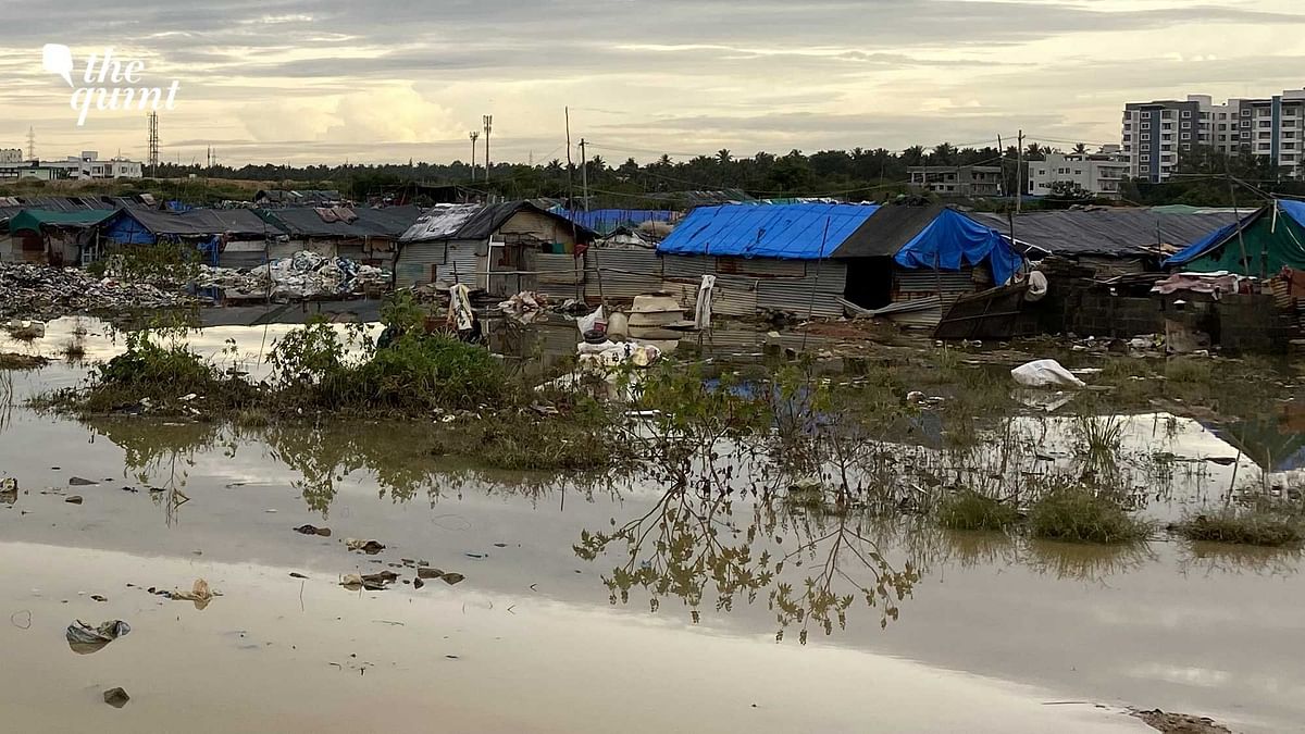 Bengaluru Floods: Rainfall and Govt Apathy Jolt Lives of Sanitation Workers