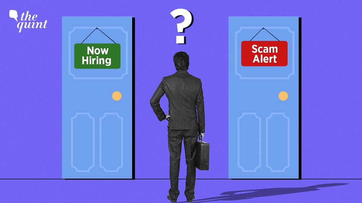 Home Ministry Warning: How To Recognise & Avoid Falling for Online Job Scams?