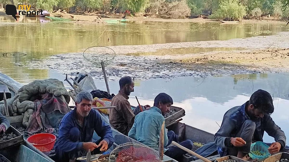 'Where are the Fish?' Ask Fishermen of Dying Wular Lake, Struggling to Survive