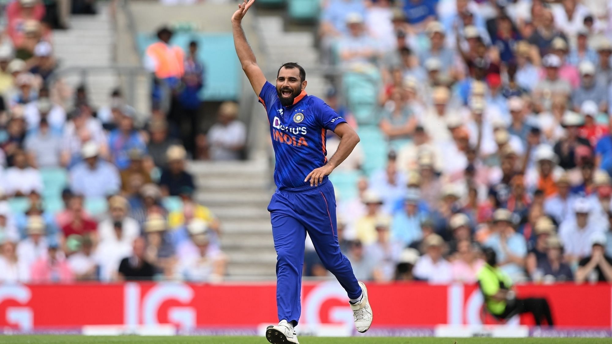 <div class="paragraphs"><p>Mohammed Shami will replace Jasprit Bumrah in India's squad for the ICC Men's T20 World Cup 2022.</p></div>