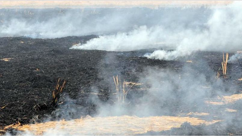 <div class="paragraphs"><p>Burning of rice residues after harvest to prepare the land for wheat planting, around Sangrur, SE Punjab.</p></div>