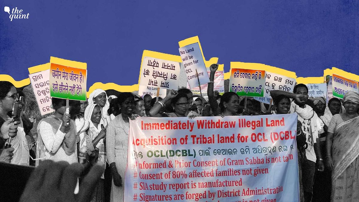 'Land Is Our Identity': Adivasis in Sundargarh Oppose Dalmia Cement's Expansion