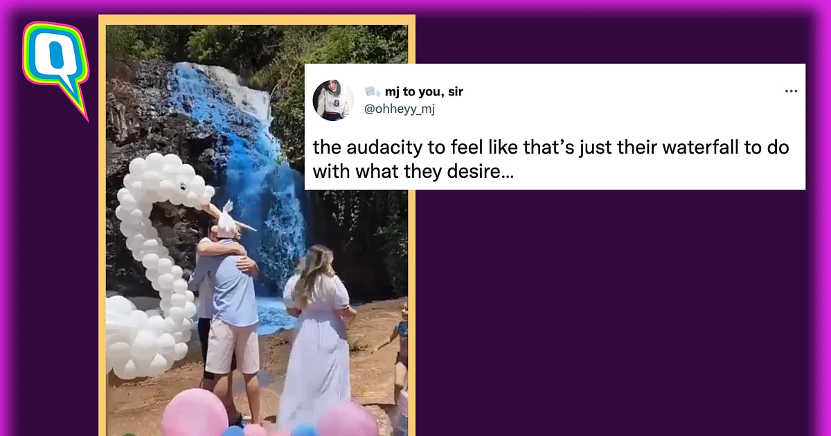Couple in Brazil Dye Waterfall for a Gender-Reveal Party; Spark Outrage Online