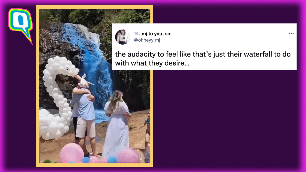 Couple in Brazil Dye Waterfall for a Gender-Reveal Party; Spark Outrage Online