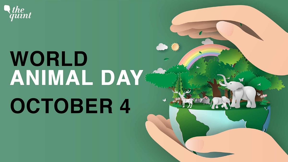 Share these images, posters, and quotes on world animals day 2022