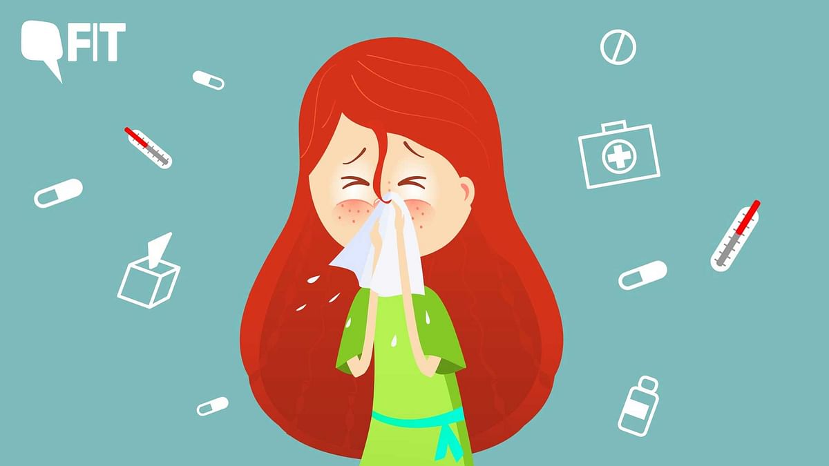 How to Cope With Allergy Season: What Precautions to Take?