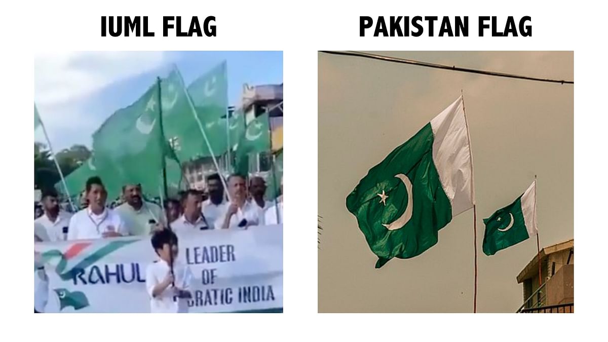 The IUML flag is a solid green flag with the crescent, whereas the Pakistani national flag has a white stripe on it.