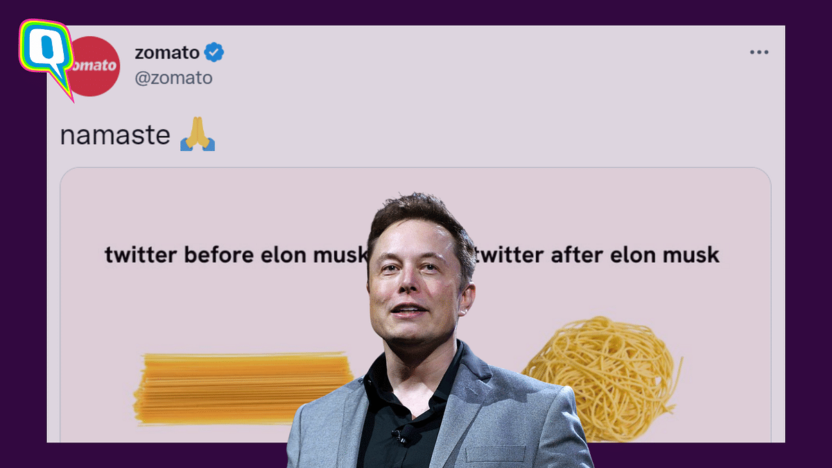 Zomato Uses Hilarious Meme To Diss On Elon Musk's Twitter Takeover