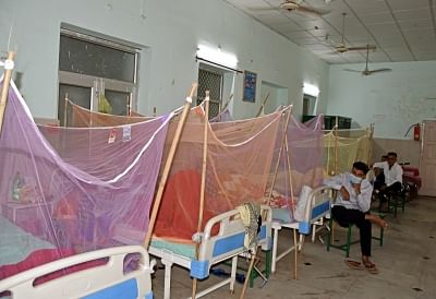 Despite knowing how it spreads and when cases tend to spike, why is it so hard to contain dengue outbreaks in India?