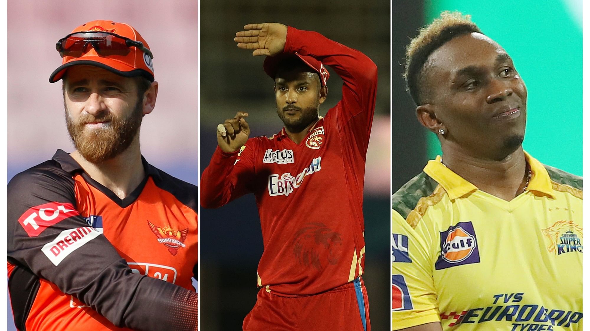 <div class="paragraphs"><p>IPL 2023: 85 players were released by the ten franchises ahead of 23 December's auction.</p></div>