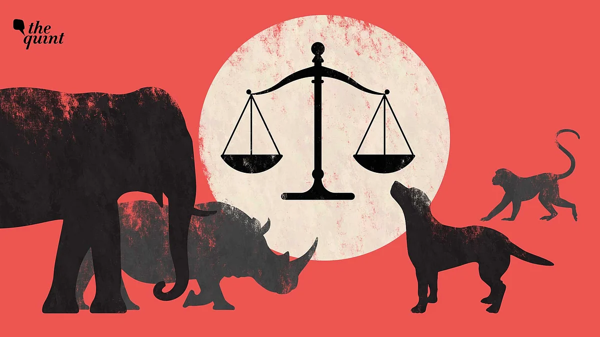 FAQ | Centre Proposes Amendments to Animal Cruelty Law: What Does the Draft Bill Say?