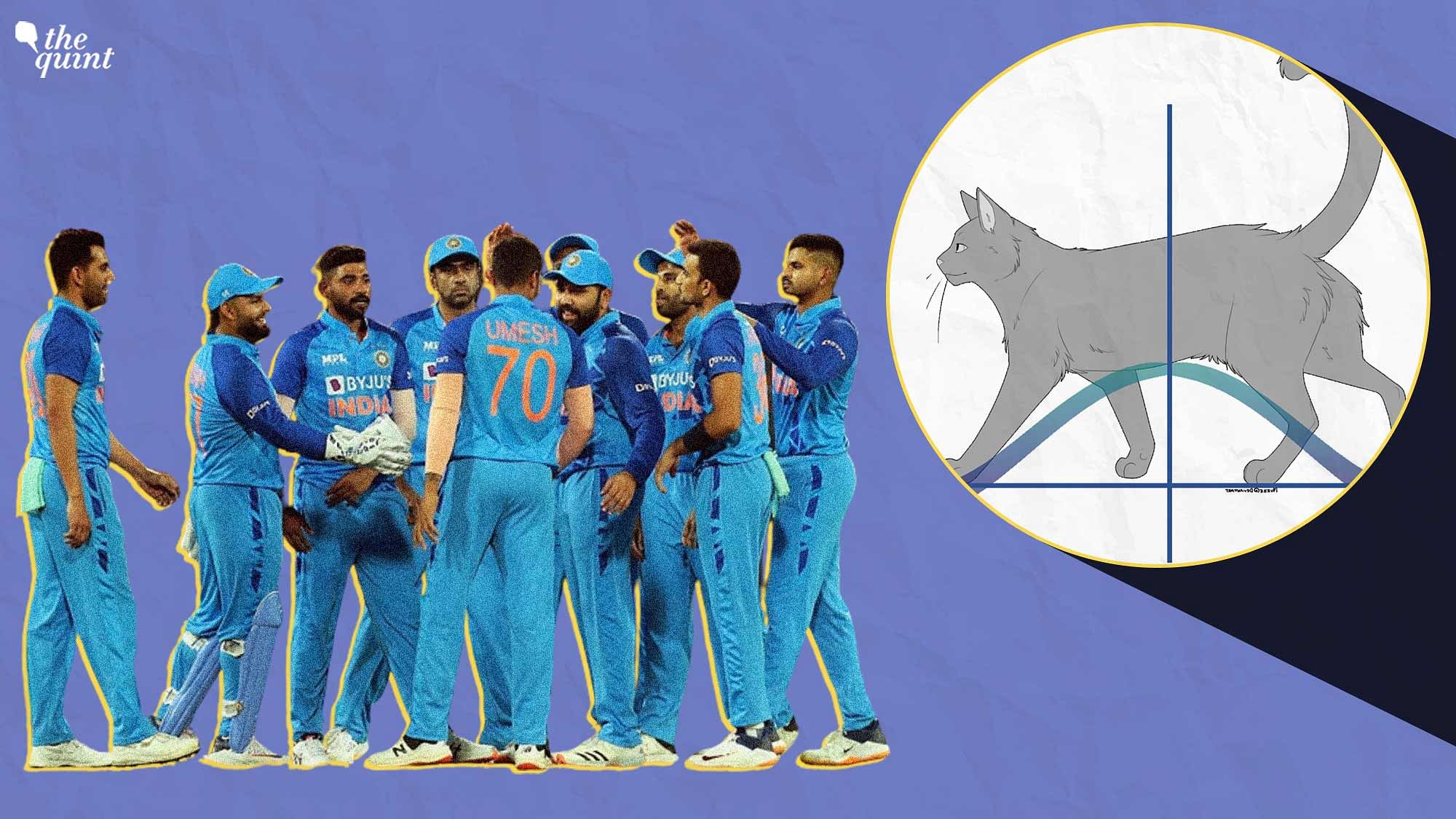 <div class="paragraphs"><p>Paradoxical state and unconscious mental fatigue have kept the Indian men’s cricket team in the distance away from the winning podium. It’s high time that BCCI took a step and removed the lid from the cat box.</p></div>