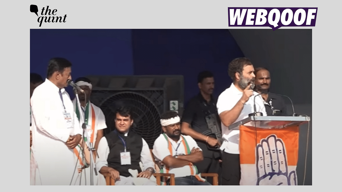 Rahul Gandhi's Translator Left Him Mid-Speech? Here's What Happened