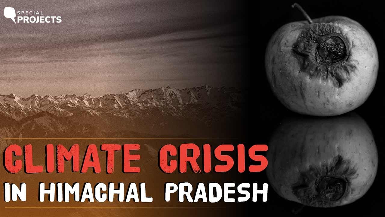<div class="paragraphs"><p>We travel across Himachal Pradesh to eat some local food and immerse ourselves in the culture as we stumble upon the story of how the biggest crisis of our times affects those who live at the very heart of it-- climate change and its impact on the farmers who depend on it. </p></div>
