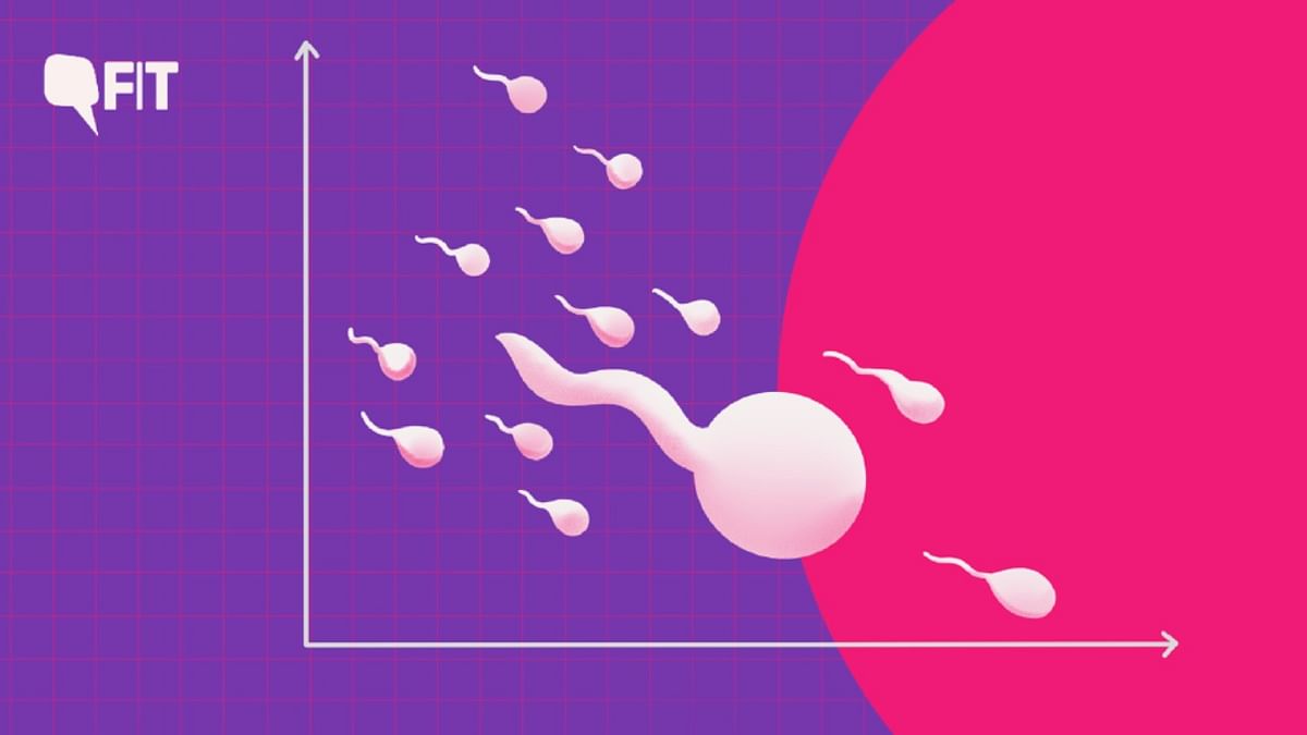 Reproductive Crisis Incoming? Sperm Count Is Declining Globally, Says New Study