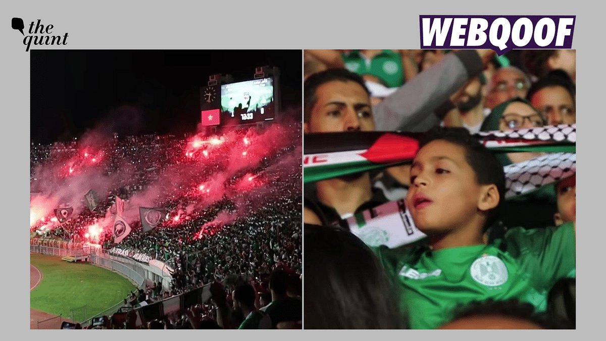 Old, Unrelated Clip Shared as Fans Supporting Palestine at 2022 FIFA World Cup