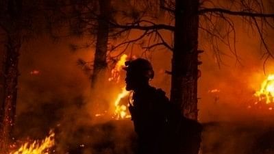 <div class="paragraphs"><p>Europe is seeing a record-breaking heatwave that has triggered several wildfires across <a href="https://www.thequint.com/topic/france">France</a>, <a href="https://www.thequint.com/topic/spain">Spain</a> and <a href="https://www.thequint.com/topic/portugal">Portugal</a>, forcing thousands to evacuate their homes.</p></div>