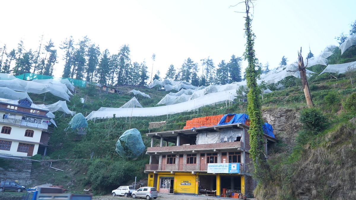 We travel across Himachal to study climate change and its impact on the farmers whose livelihood depends on it.