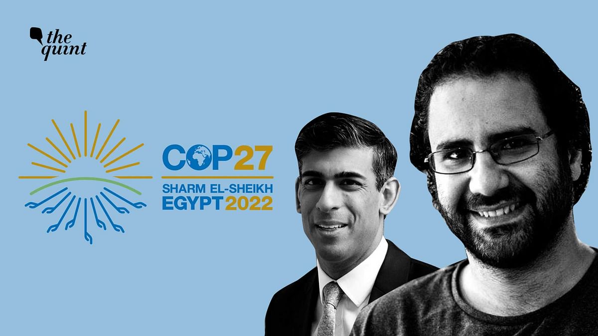 In Egypt for COP27, Rishi Sunak Raises Case of Alaa Abd El-Fattah: Who Is He?