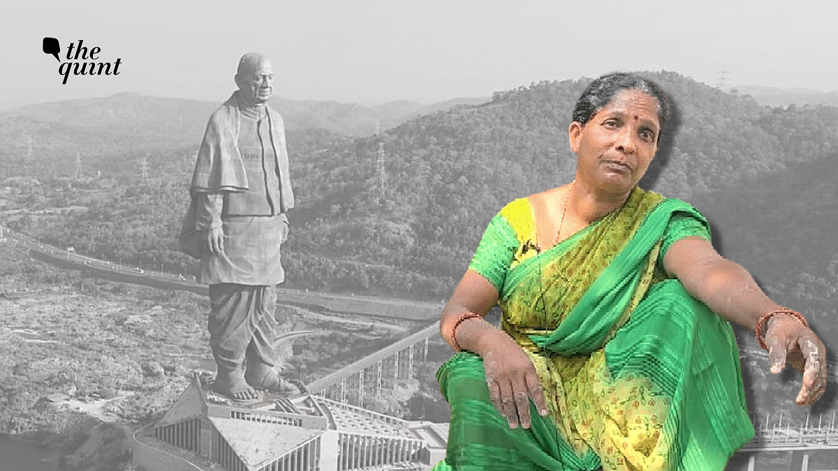 'Sacrificed For Dam, Not Statue of Unity': Why 6 Villages Want Their Lands Back