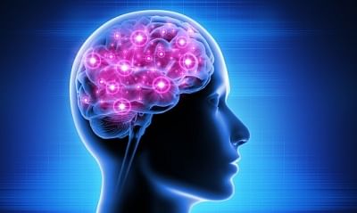 <div class="paragraphs"><p>Foods for better brain health</p></div>