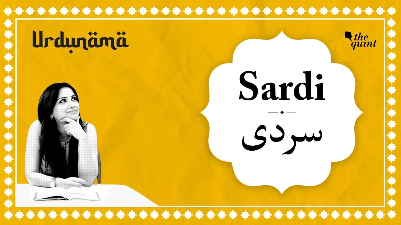 <div class="paragraphs"><p>Urdunama episode on Sardi</p></div>