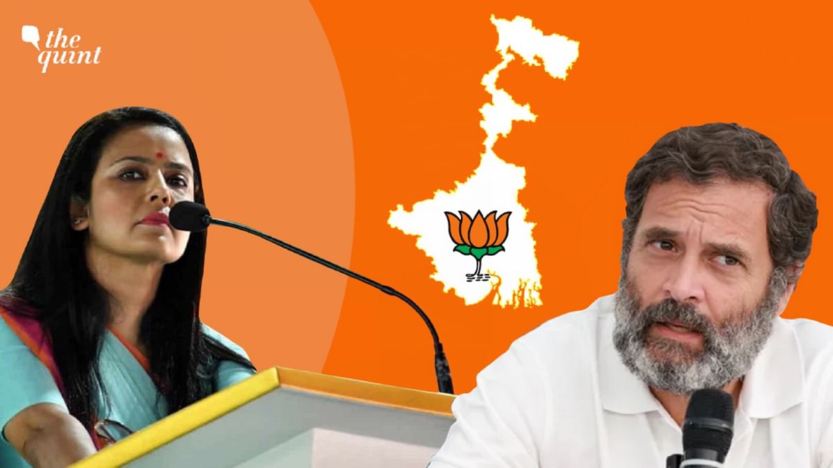 Will TMC's Bengal MP Mahua Moitra Join Hands With Rahul Gandhi To Fight BJP?