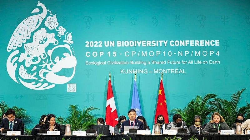<div class="paragraphs"><p>In a 'landmark biodiversity agreement', nearly 200 governments on Sunday, 18 December signed an accord to halt and reverse the destruction of Earth’s ecosystems at the &nbsp;United Nations&nbsp;<a href="https://www.thequint.com/climate-change/is-china-ready-to-take-the-lead-on-protecting-nature-un-biodiversity-conference">COP15 World Conference on Nature</a>&nbsp;in Montreal.</p></div><div class="paragraphs"><p></p></div>