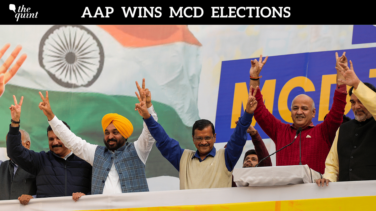 MCD Results 2022: AAP Wins Delhi, BJP Wins Over 100 Wards, Cong a Distant Third