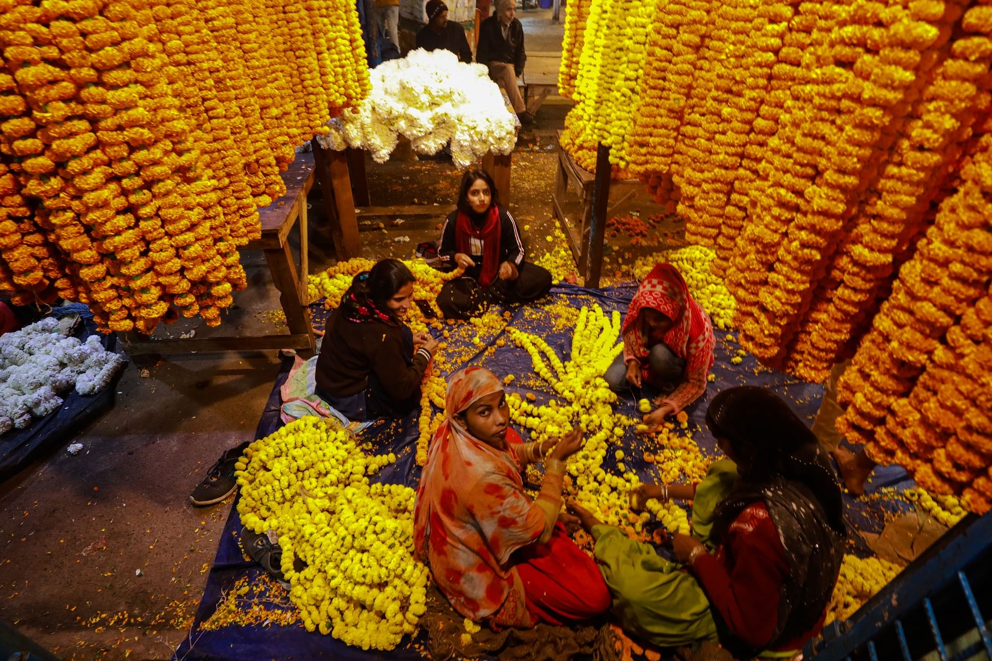 <div class="paragraphs"><p>The morning rush at the flower market in&nbsp;Delhi's Ghazipur.</p></div>