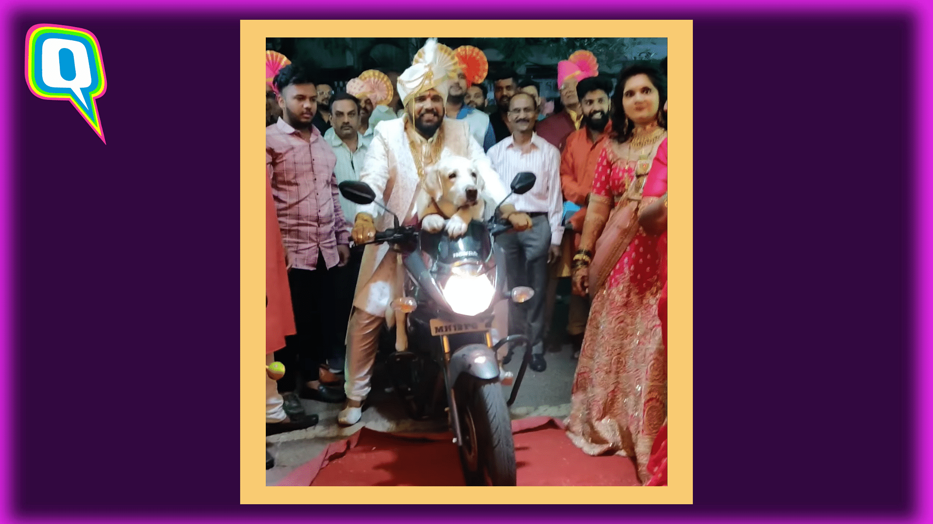 <div class="paragraphs"><p>Groom's entry with his sherwani-clad dog on a bike is adorbs max!</p></div>