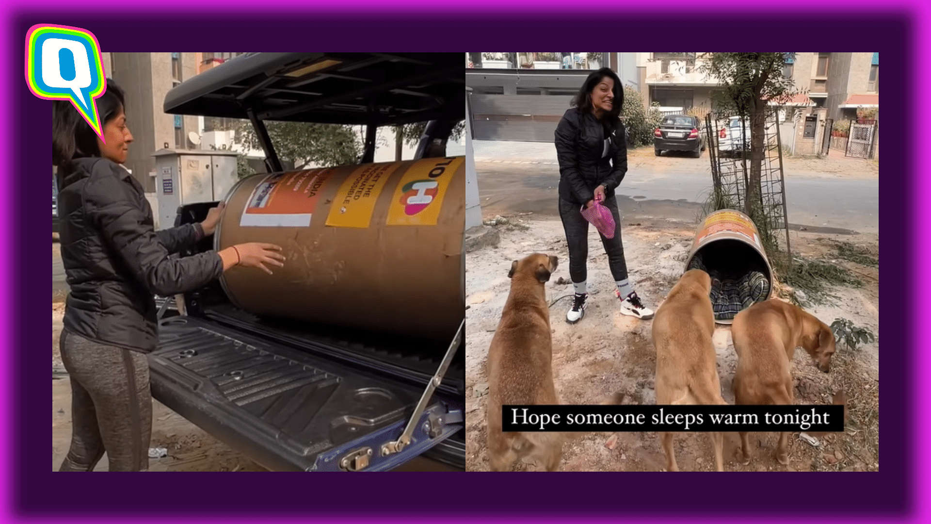 <div class="paragraphs"><p>Woman Wins Hearts Online For Building Makeshift Shelters For Stray Dogs</p></div>