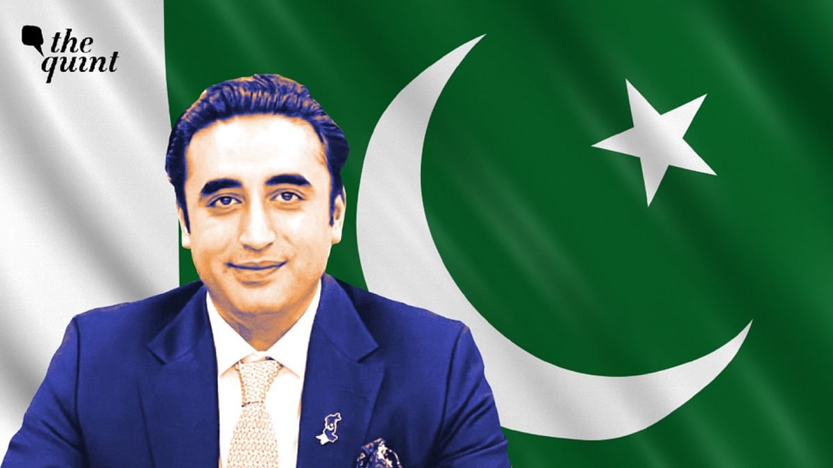 India-Pakistan Ties: Did Bilawal Bhutto Zardari Bite Own Tail With Aggression?