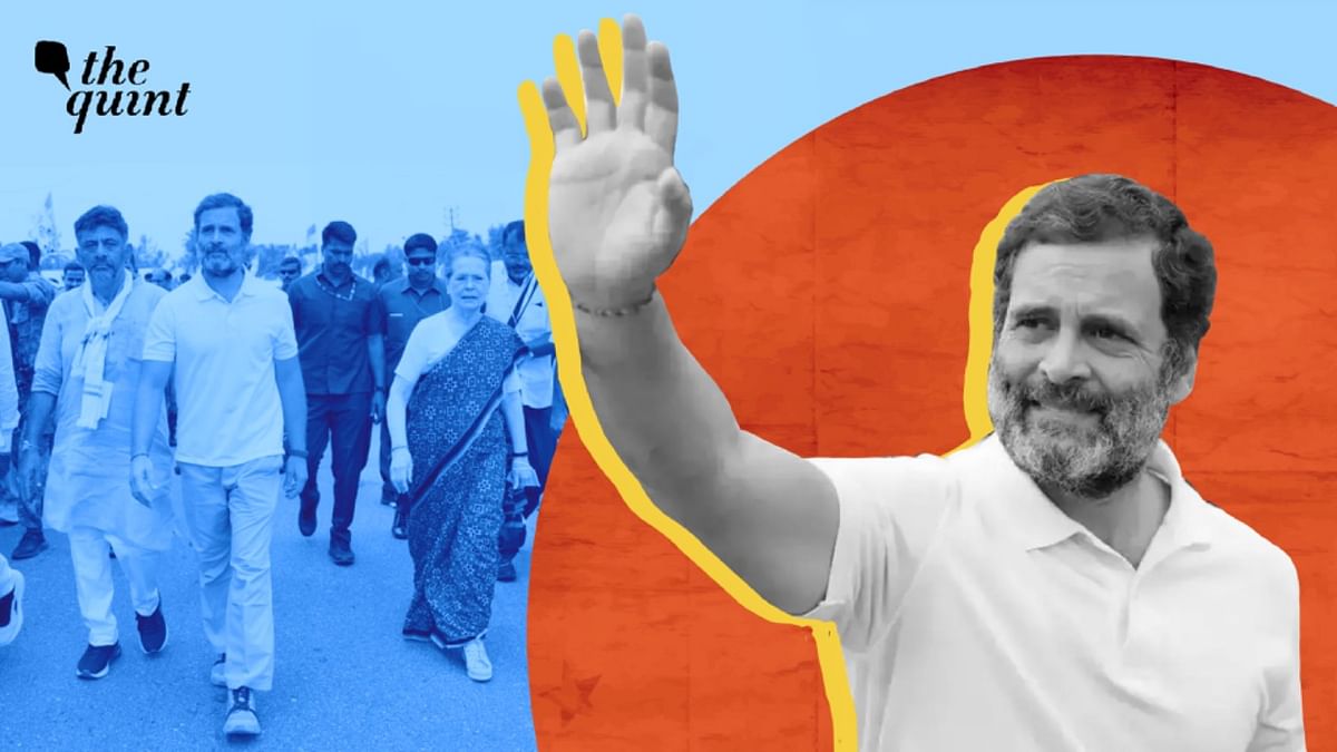100 Days of Bharat Jodo Yatra: Congress Gained Self-Belief. Will It Gain Votes?