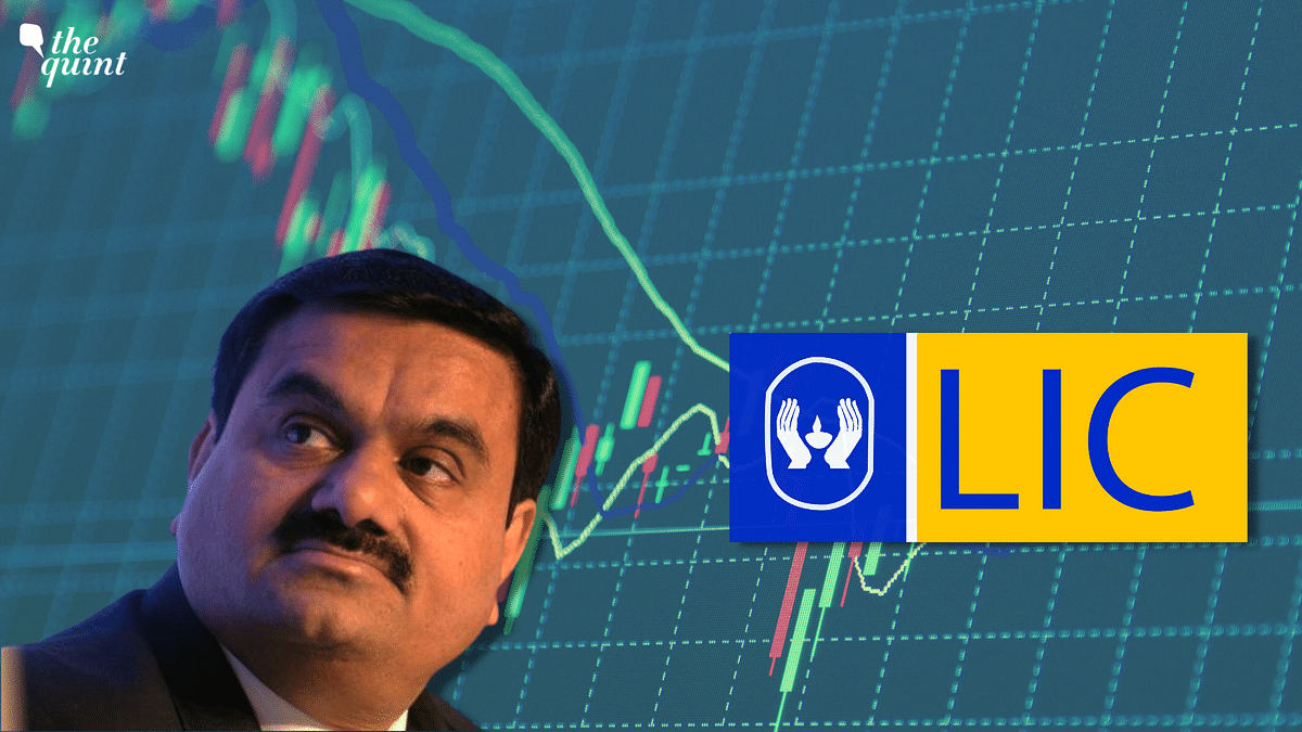 Adani Group Stocks Lose $48Bn Over Hindenburg Fraud Claims, LIC Shares Also Fall