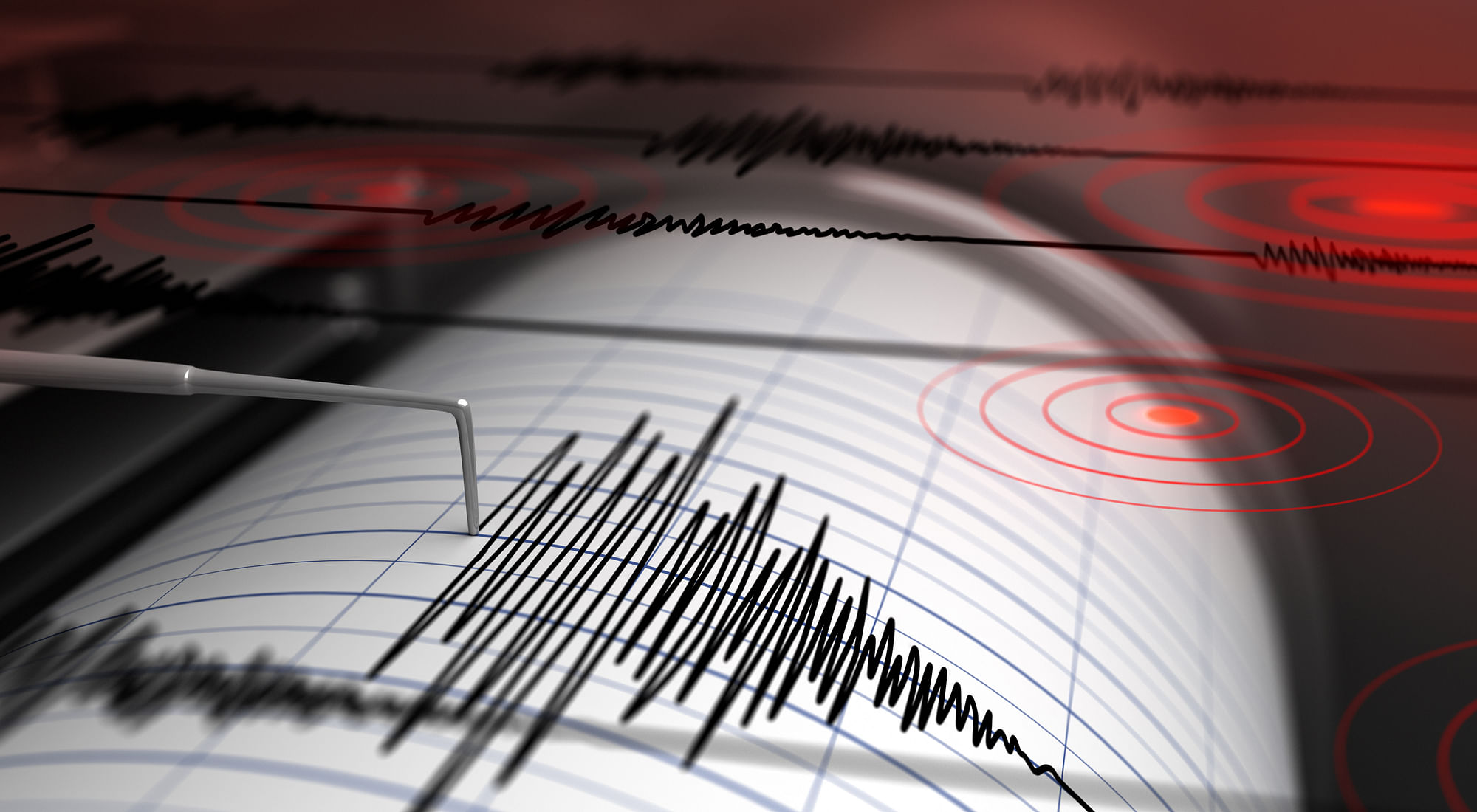 <div class="paragraphs"><p>The Delhi-NCR region experienced earthquake tremors at around 2:30pm on Tuesday, 24 January, according to multiple reports.</p></div>