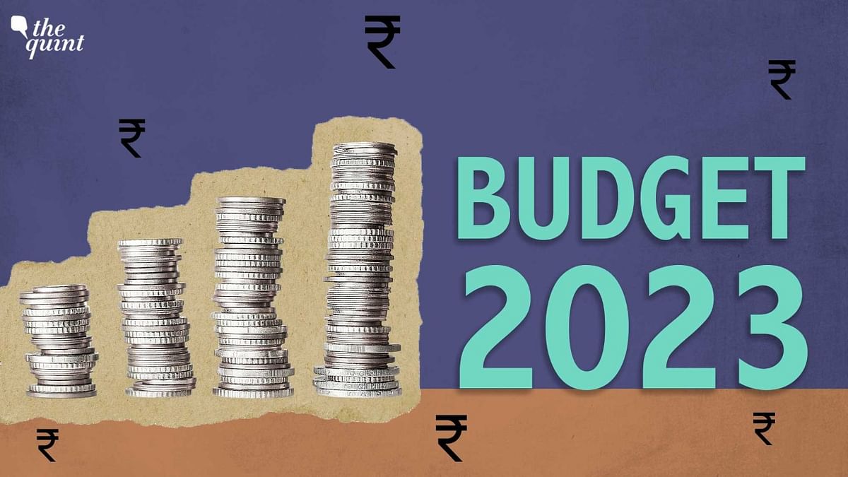 Economic Survey Predicts GDP Growth Between 6-6.8% in Financial Year 2023-24