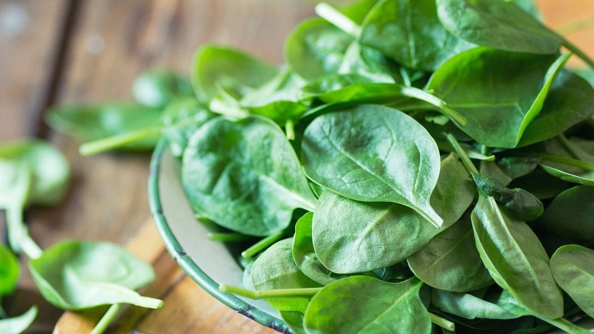<div class="paragraphs"><p>Know the important health benefits of eating spinach.&nbsp;</p></div>