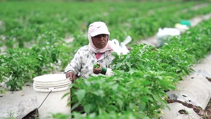 No Winter Chill: A Sign of Climate Change Affecting the Economy at Large 2 An Equitable Model of Irrigation Is Changing A Drought-Prone Maharashtra Region