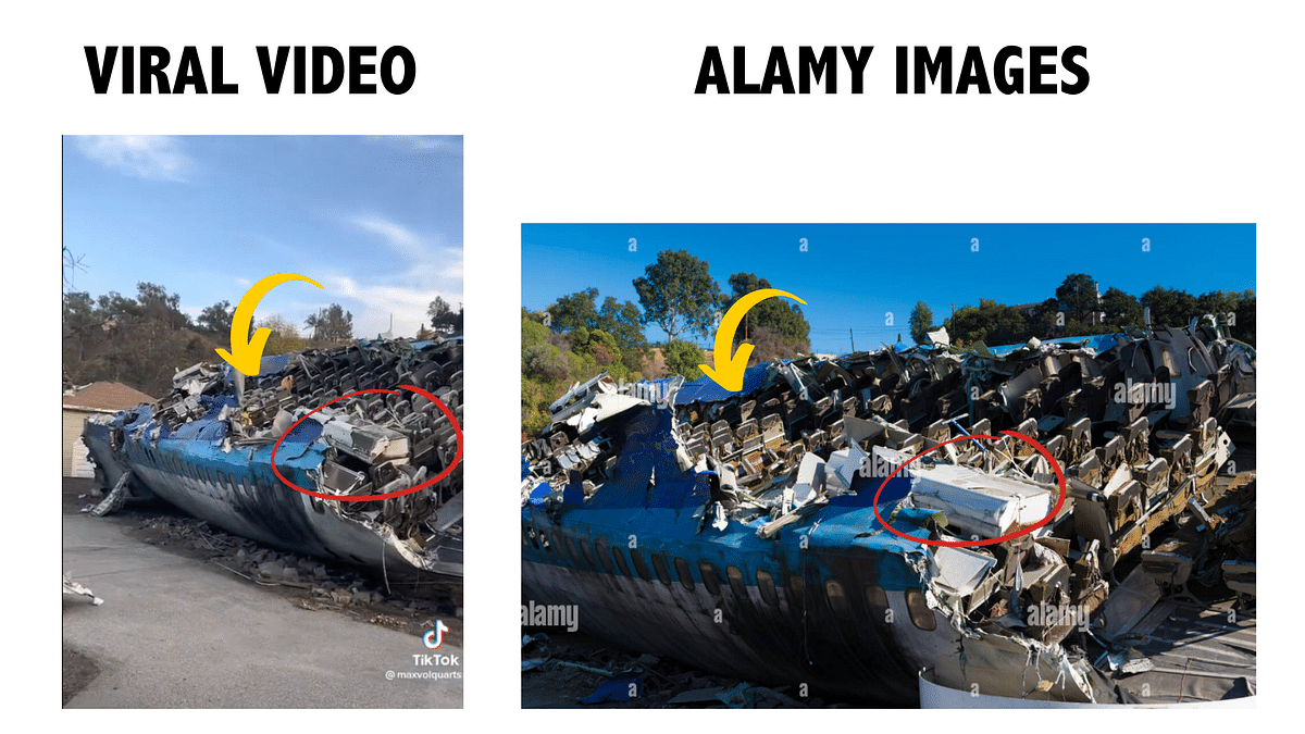 <div class="paragraphs"><p>Comparison between the viral video and images from<em> Alamy.</em></p></div>