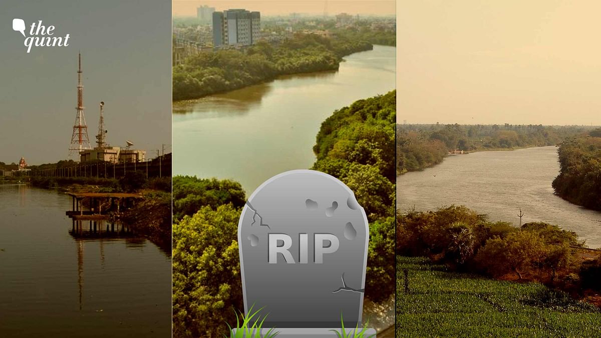 Three Chennai Rivers Are Dead and Nothing Can Bring Them Back To Life