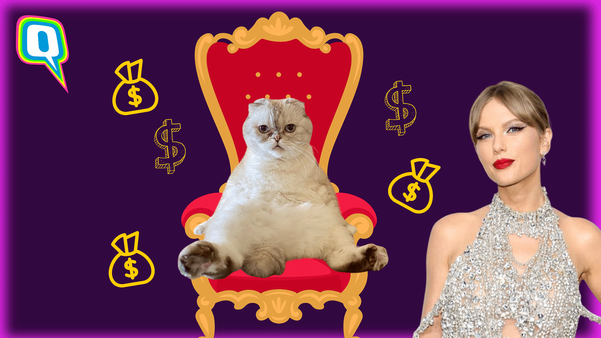 <div class="paragraphs"><p>Olivia Benson has become the third richest cat in the world.&nbsp;</p></div>