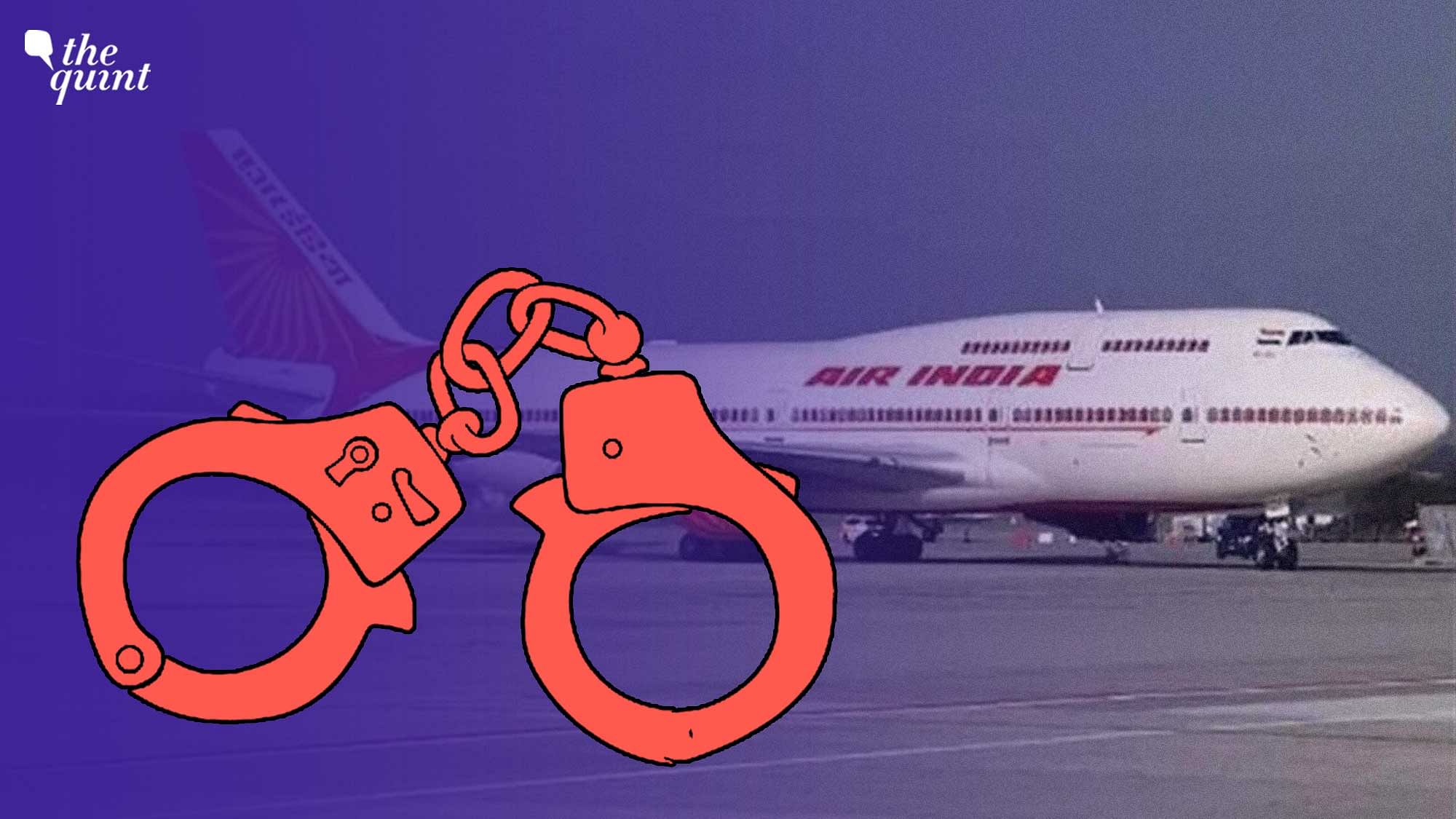 <div class="paragraphs"><p>A drunk passenger unzipped his pants and urinated on a female co-passenger in the business class of an Air India flight from New York to Delhi on 26 November 2022. </p></div>