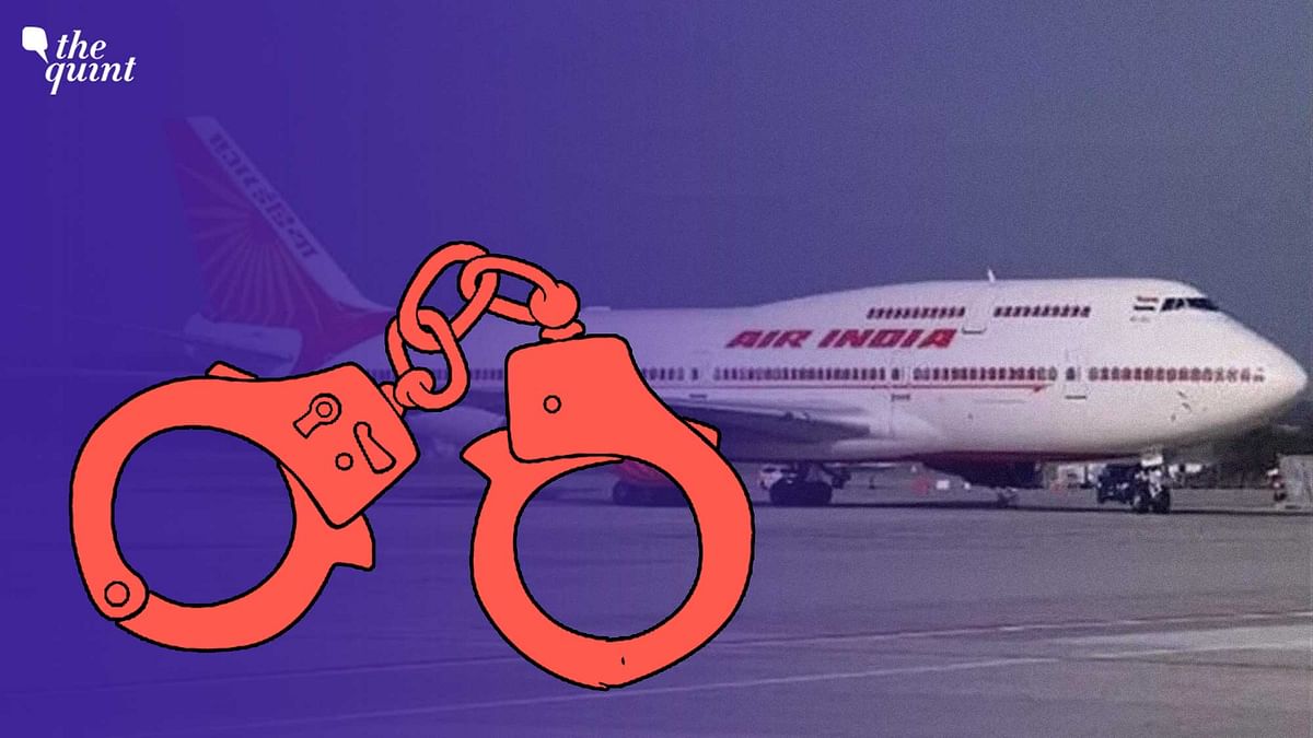 Air India Case: Accused Says Victim 'Urinated On Seat', Woman Denies Allegation