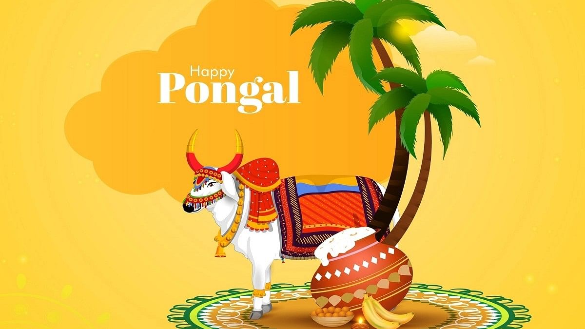 Pongal 2023: Date, Importance, History, Significance, How To ...