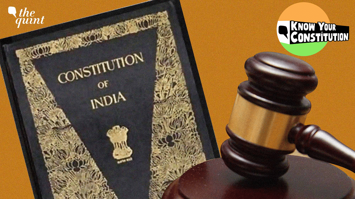 'Criminalising Thought, Identity & More': 8 Laws Experts Call Unconstitutional