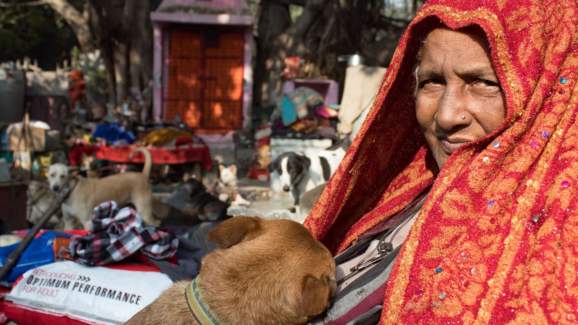 <div class="paragraphs"><p>Pratima claimed that the shack, that served as a shelter home, was razed to the ground by the Municipal Corporation of Delhi (<a href="https://www.thequint.com/topic/municipal-corporation-of-delhi">MCD</a>) in an anti-encroachment drive.</p></div>